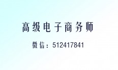 高級電子商務師業務簡介20240926