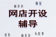 開網(wǎng)店輔導(dǎo)（淘寶京東拼多多抖音閑魚）服務(wù)